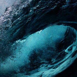 WAVES DIGITAL EDITION