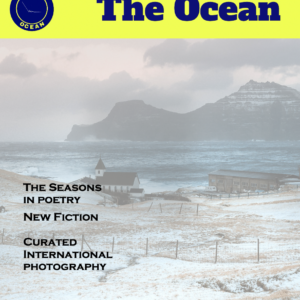 The Ocean 1.3 DIGITAL